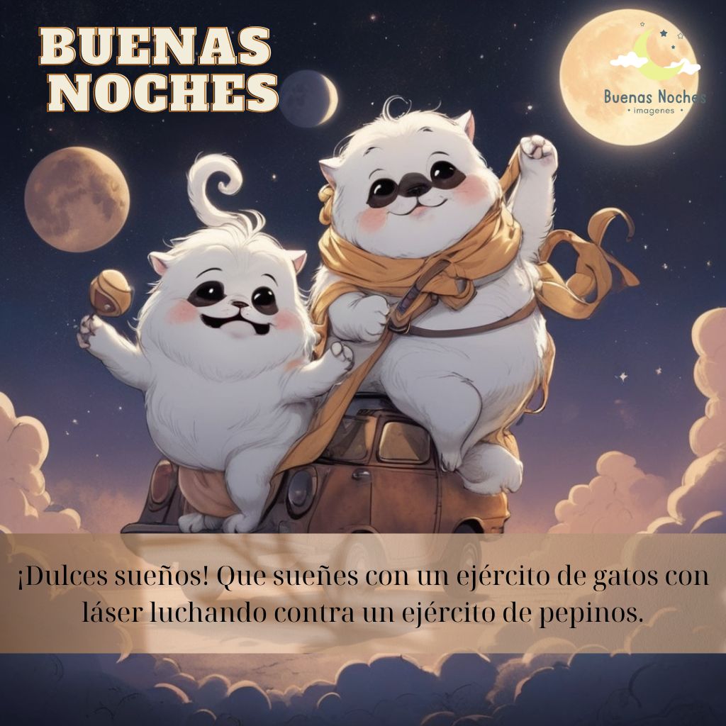 imagenes de buenas noches graciosas 61