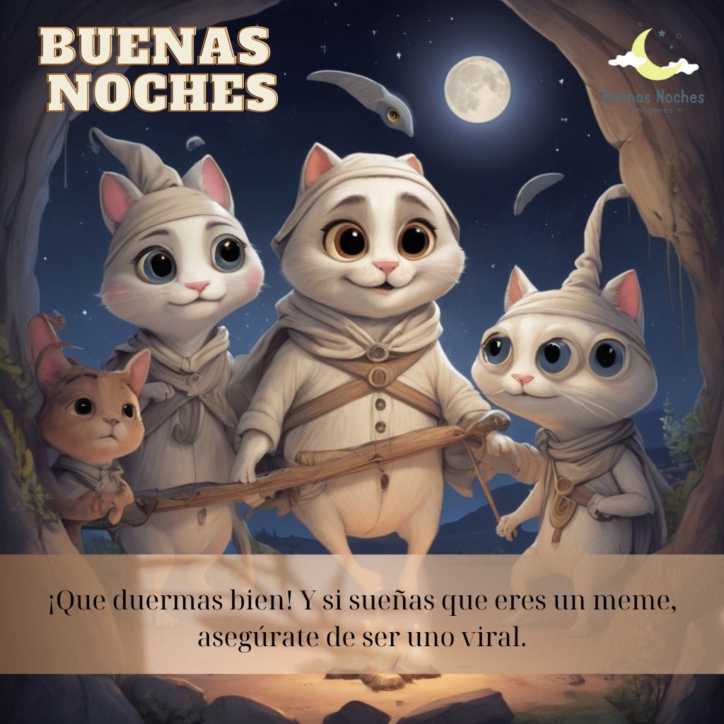 imagenes de buenas noches graciosas 63 de buenas noches graciosas