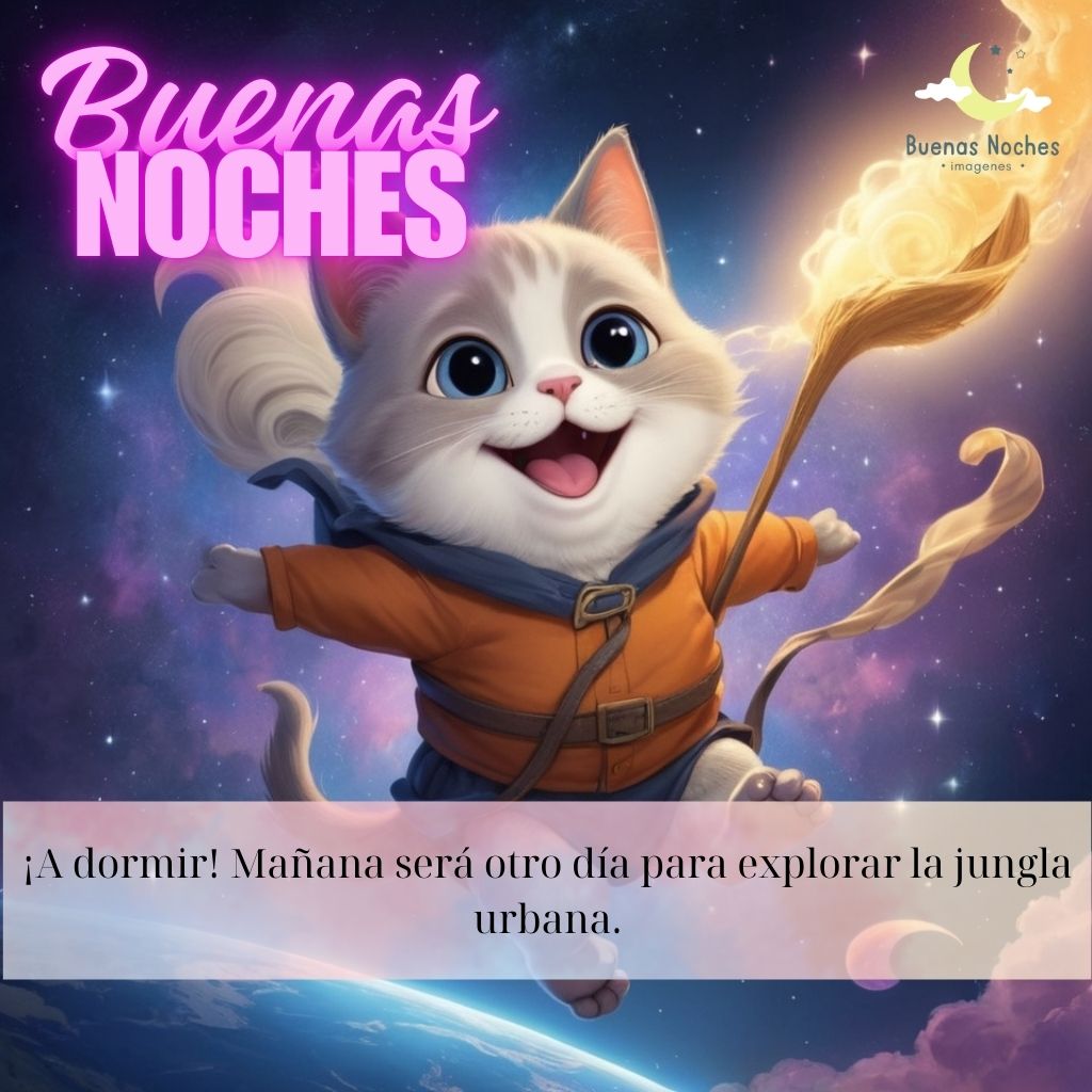 imagenes de buenas noches graciosas 72