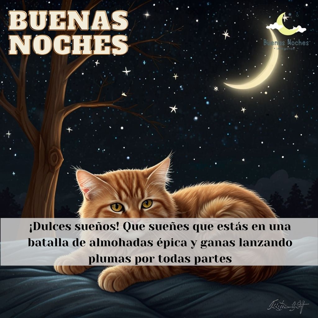 imagenes de buenas noches jueves 29