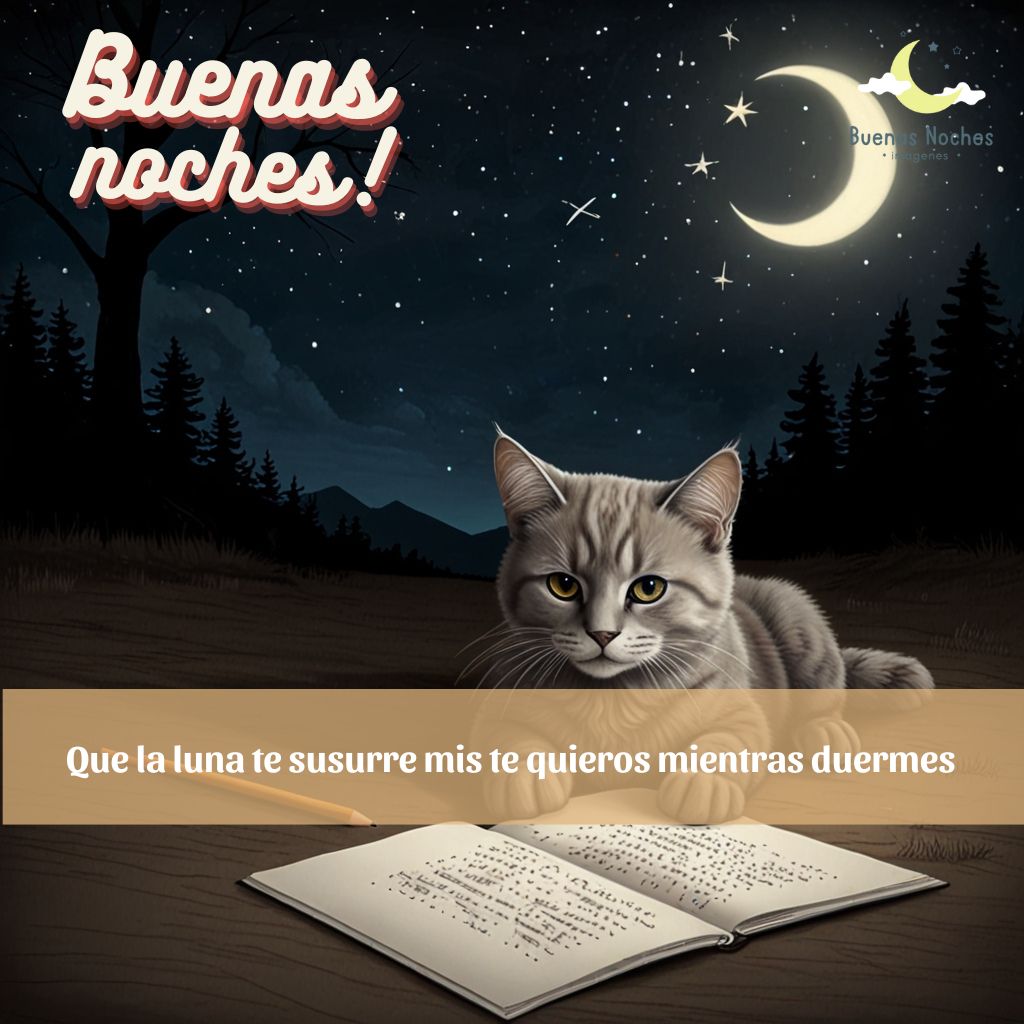 imagenes de buenas noches lunes 32