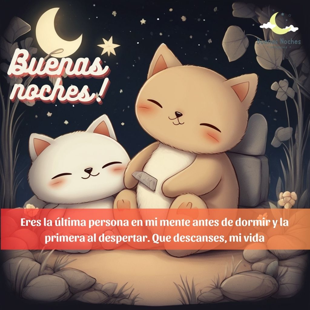 imagenes de buenas noches lunes 37