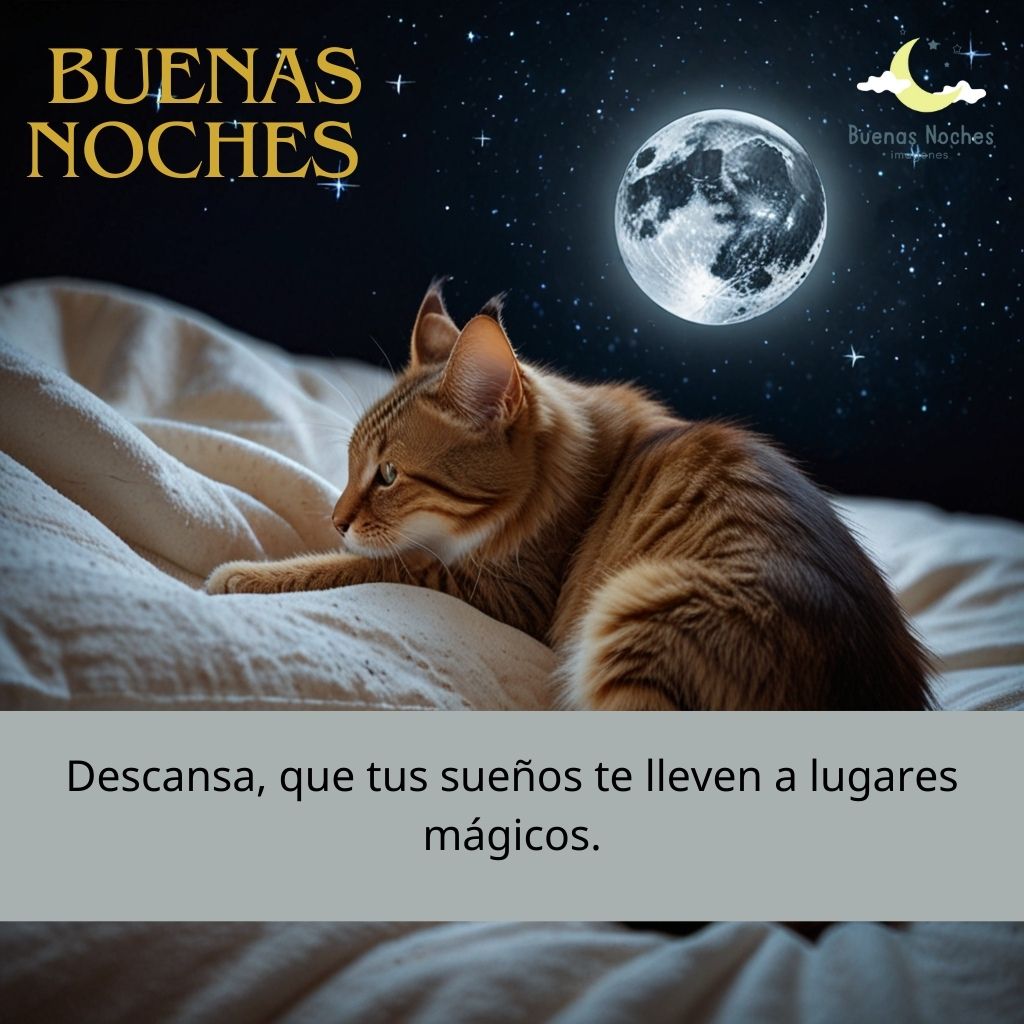 imagenes de buenas noches nuevas gratis 31