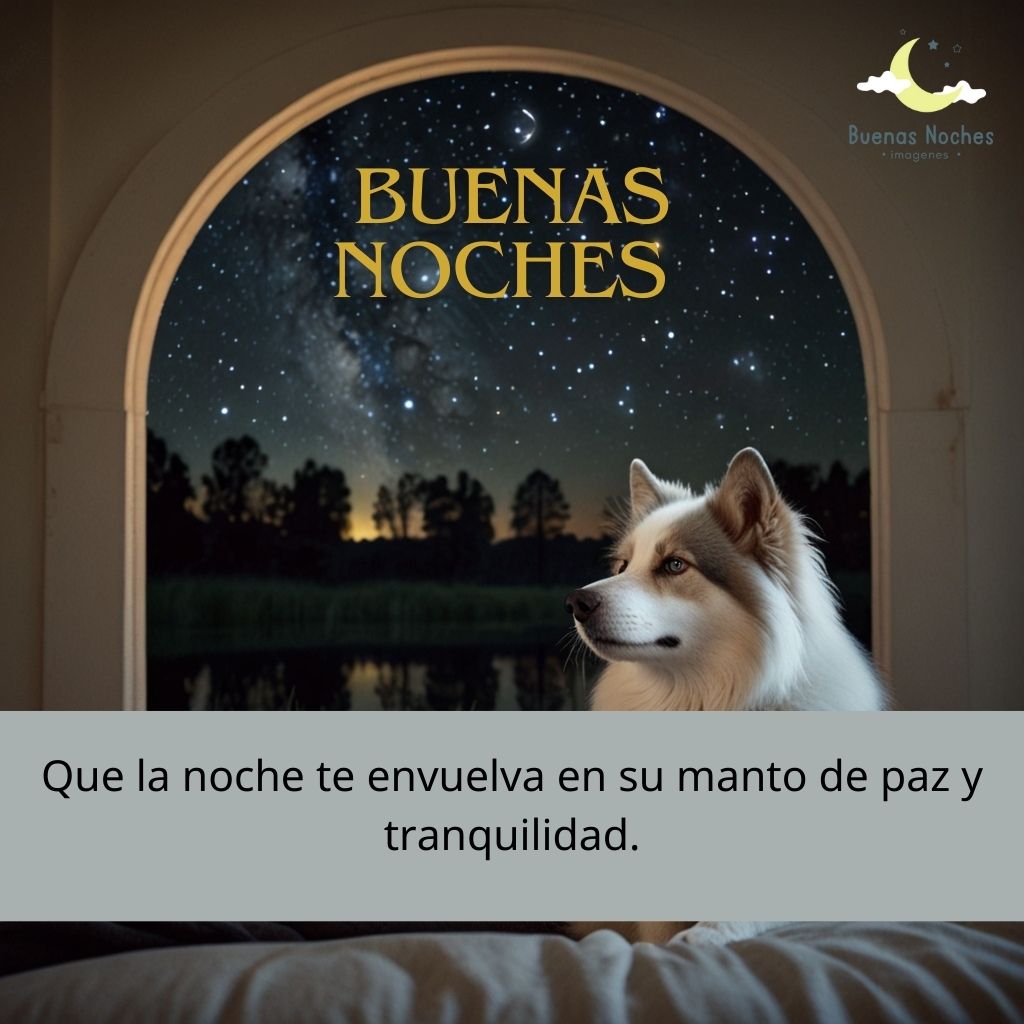 imagenes de buenas noches nuevas gratis 32