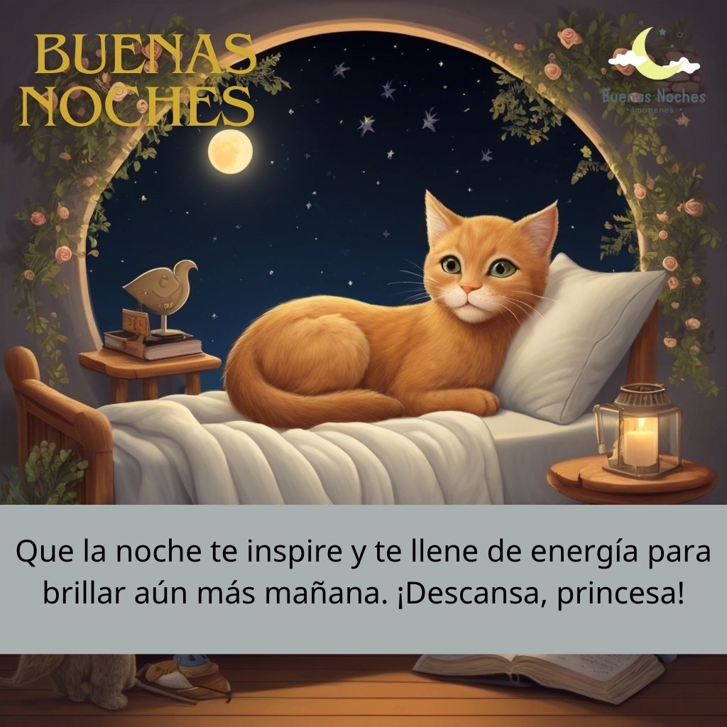 imagenes de buenas noches que descanses 54