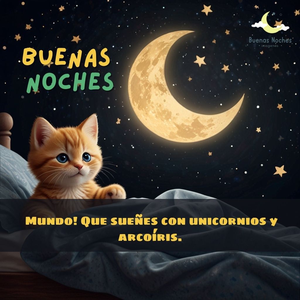 imagenes de buenas noches ternuritas 1 1