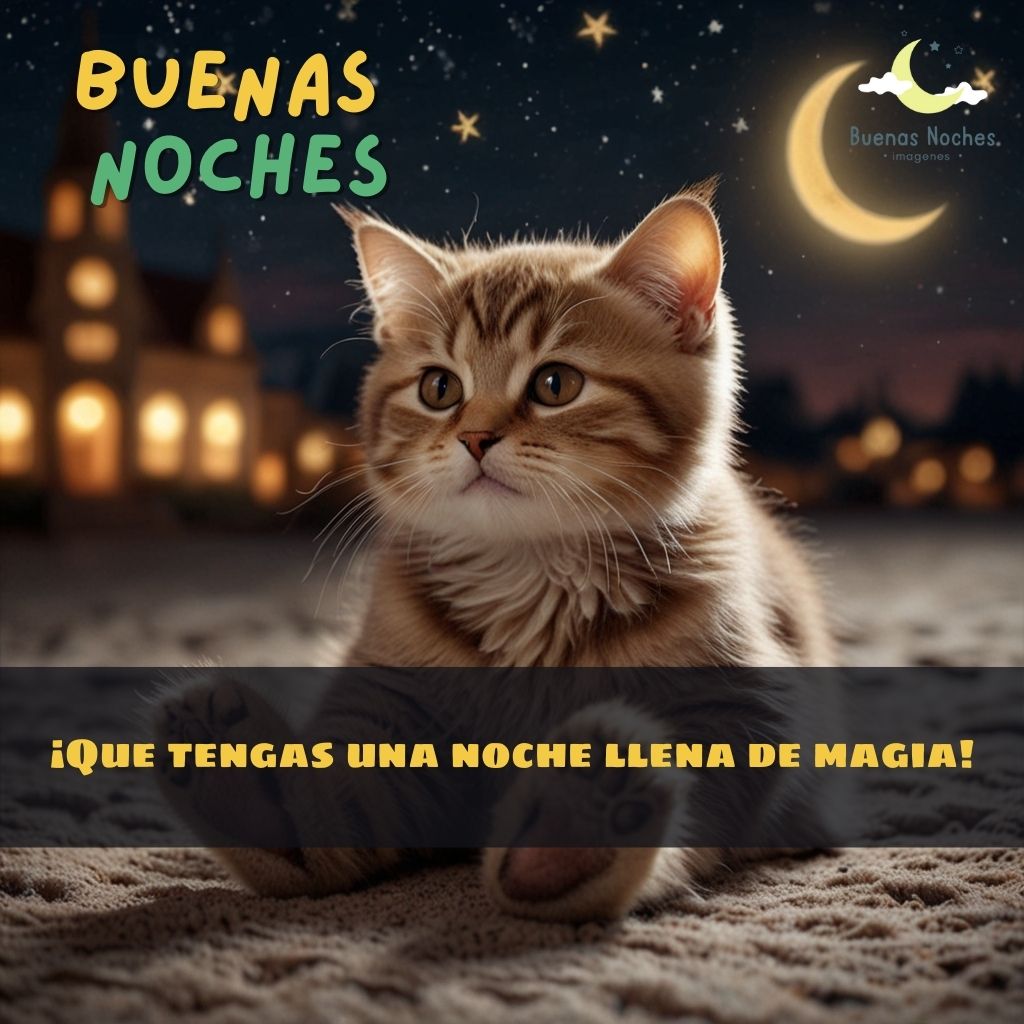 imagenes de buenas noches ternuritas 10 1