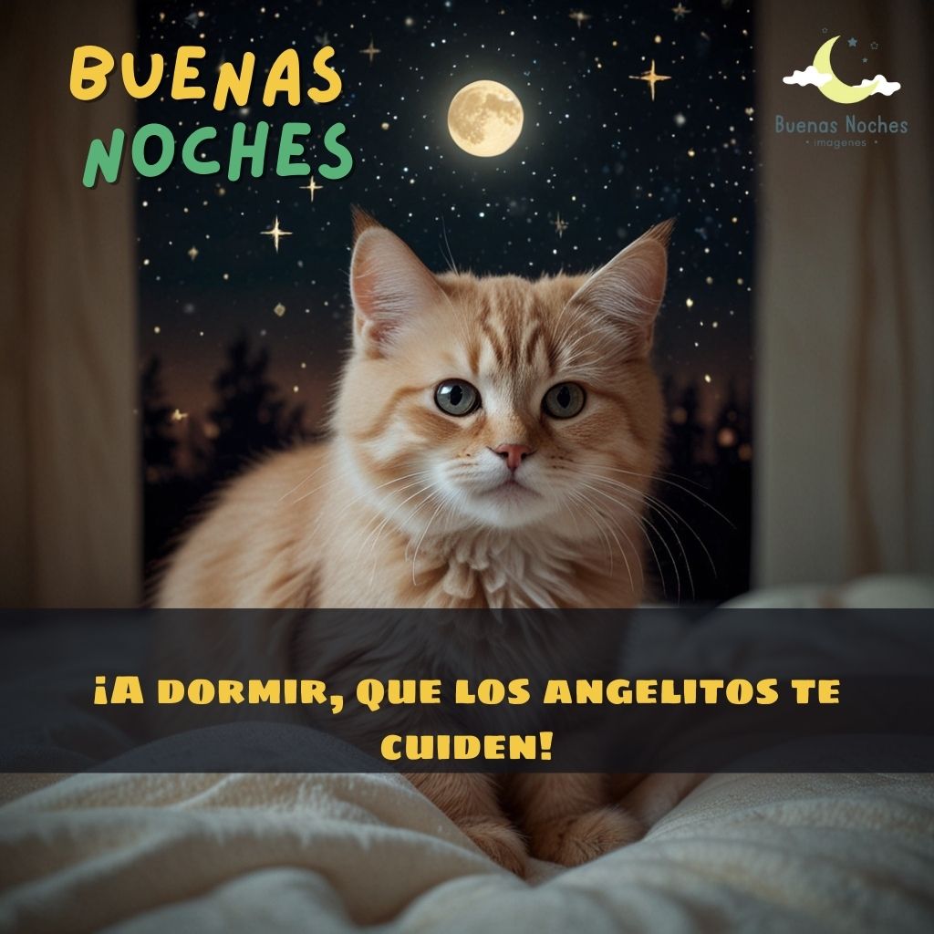 imagenes de buenas noches ternuritas 2 1