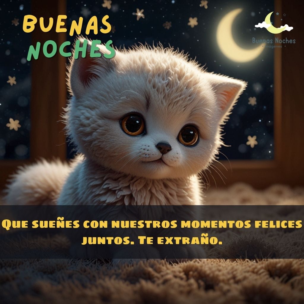 imagenes de buenas noches ternuritas 22