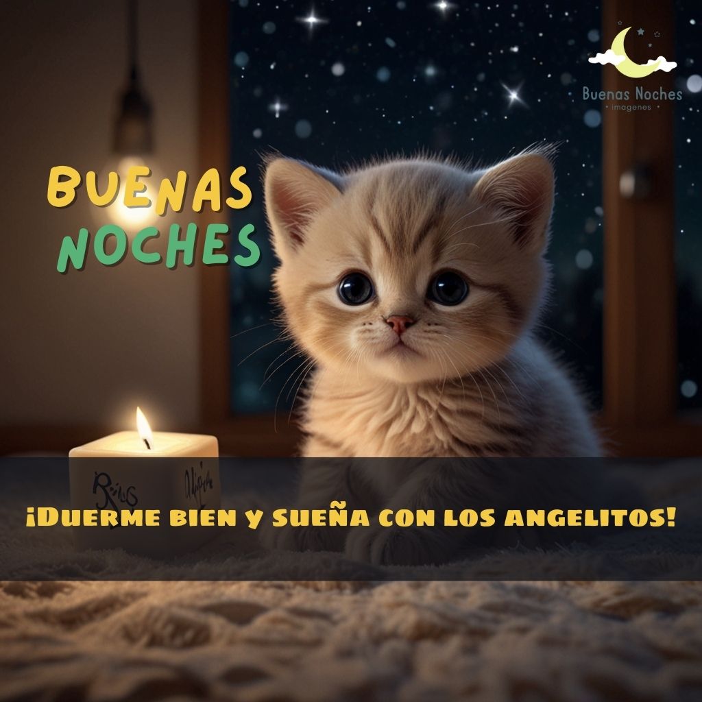 imagenes de buenas noches ternuritas 9 1