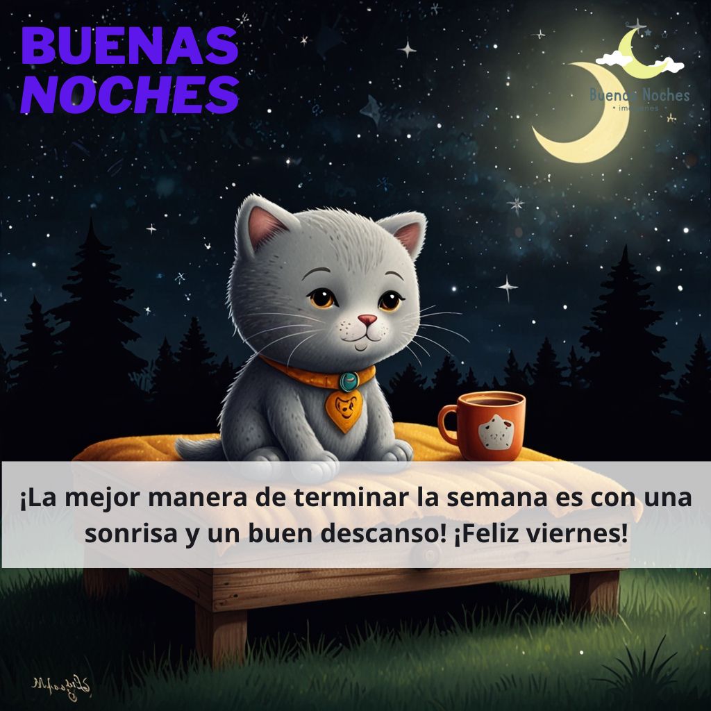 imagenes de buenas noches viernes 12