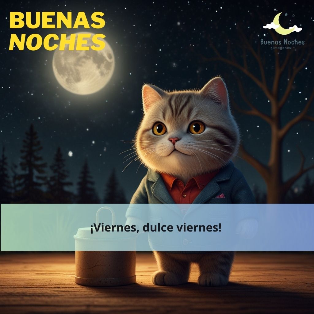 imagenes de buenas noches viernes 18