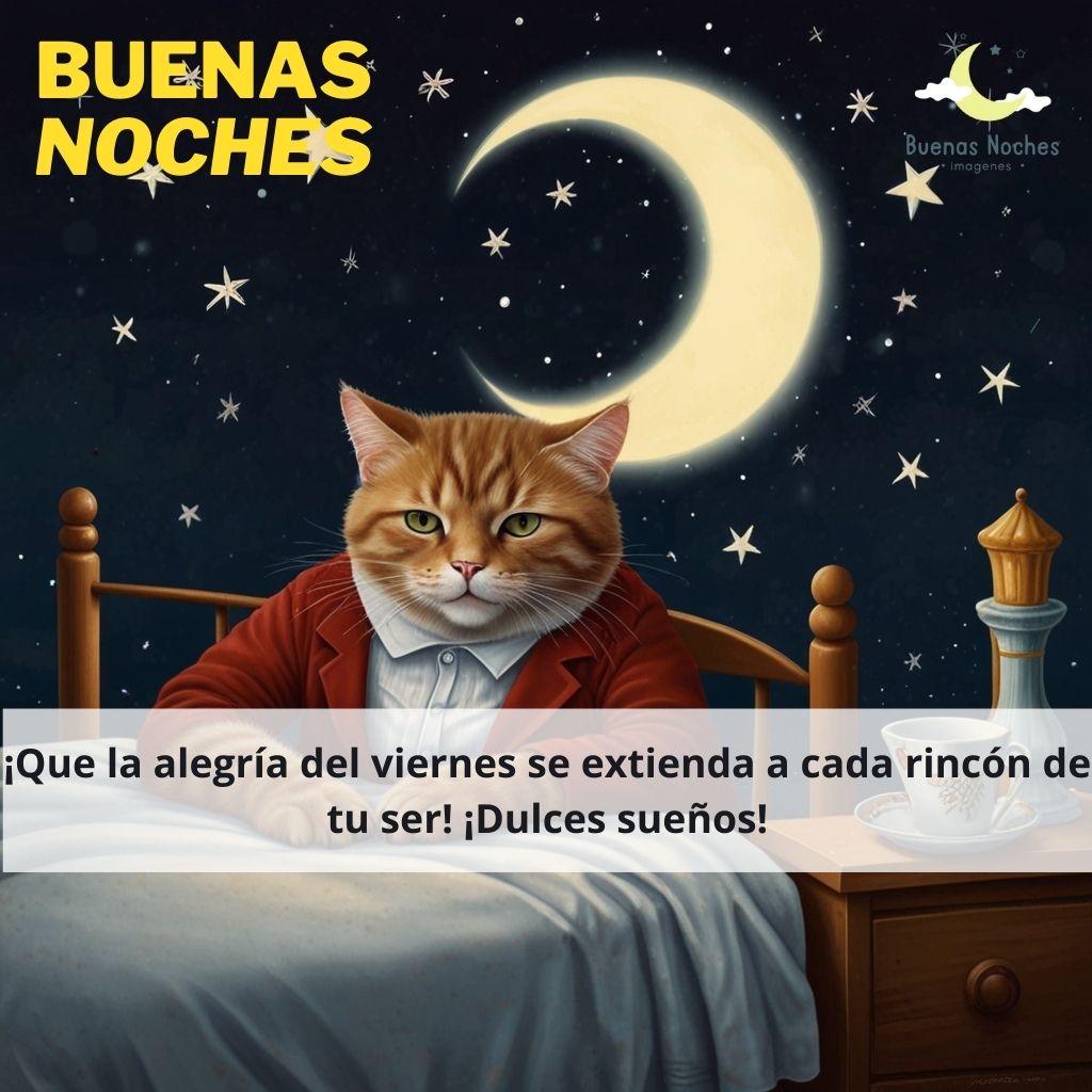 imagenes de buenas noches viernes 8