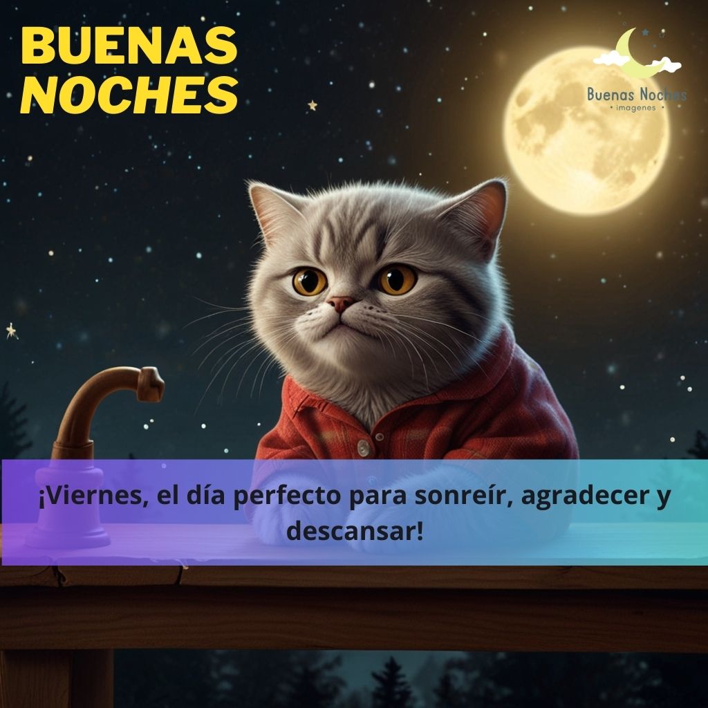 imagenes de buenas noches viernes 9