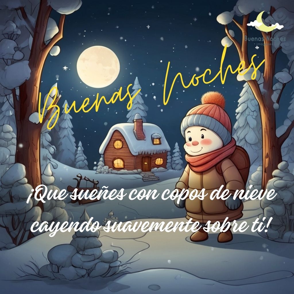 Imagen de buenas noches de invierno 15