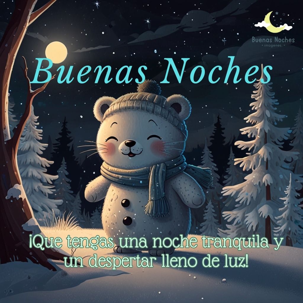 Imagen de buenas noches de invierno 16