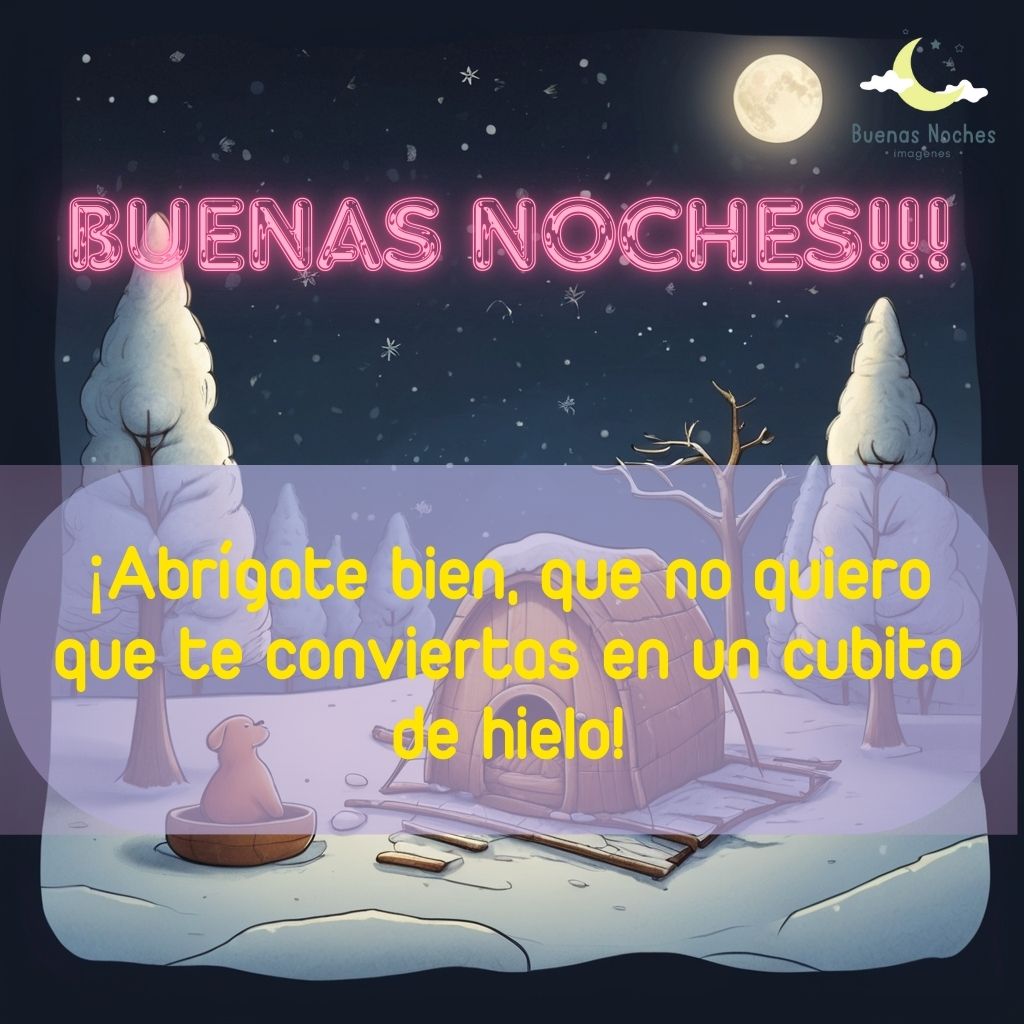 Imagen de buenas noches de invierno 24