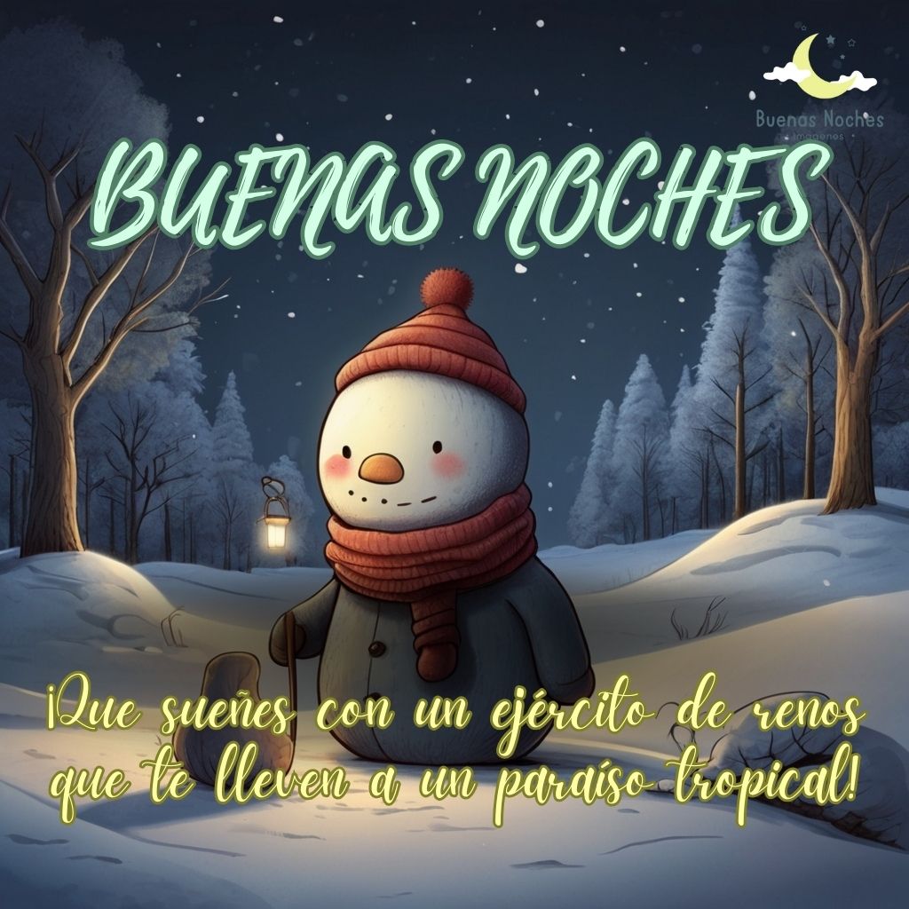 Imagen de buenas noches de invierno 25