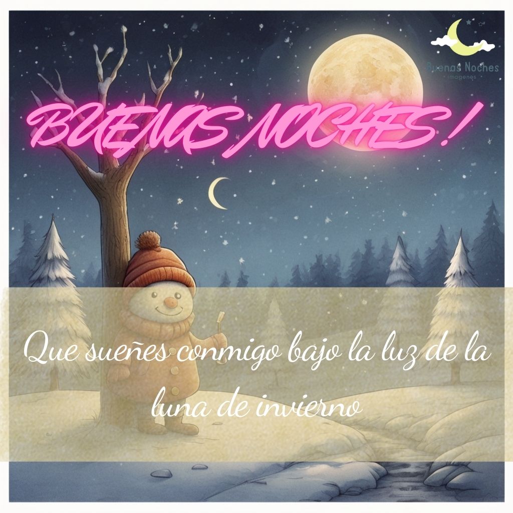 Imagen de buenas noches de invierno 31