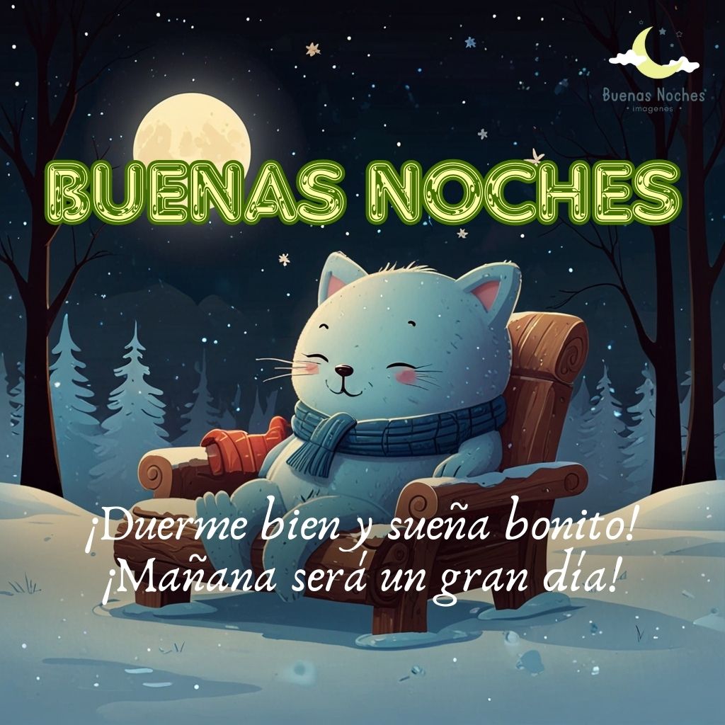 Imagen de buenas noches de invierno 8