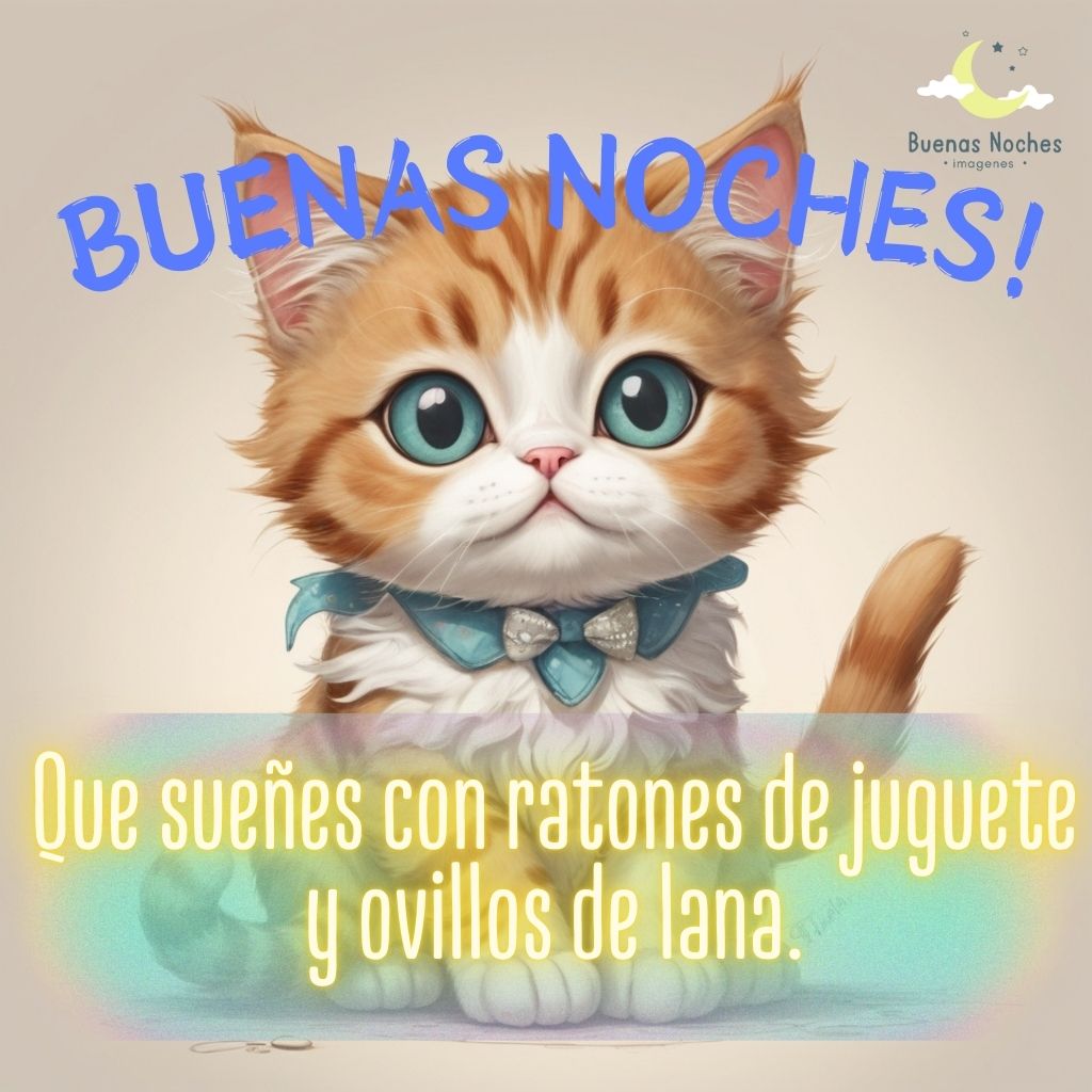 Imagenes de buenas noches con gatos 1