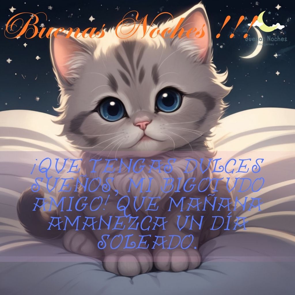 Imagenes de buenas noches con gatos 10