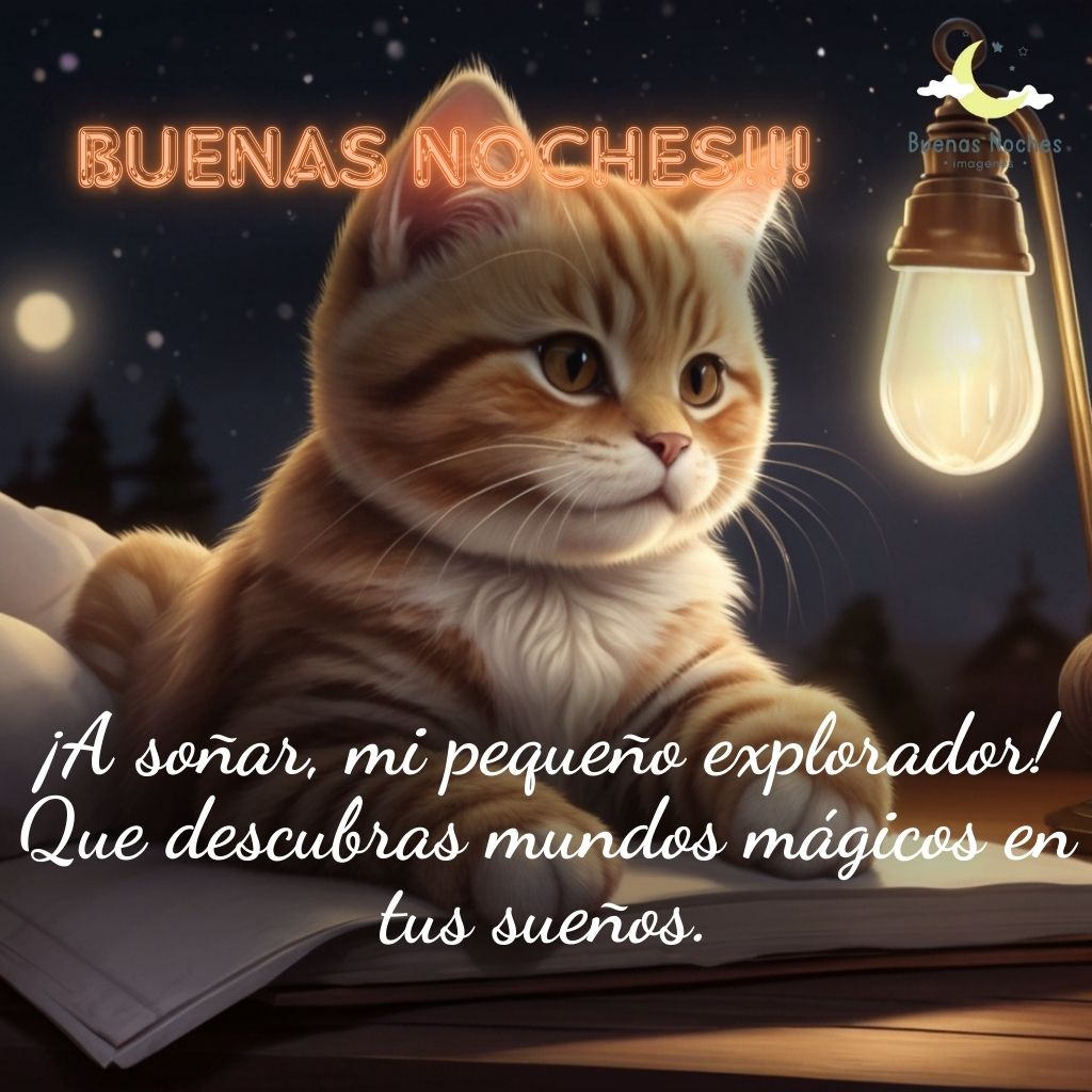 Imagenes de buenas noches con gatos 12