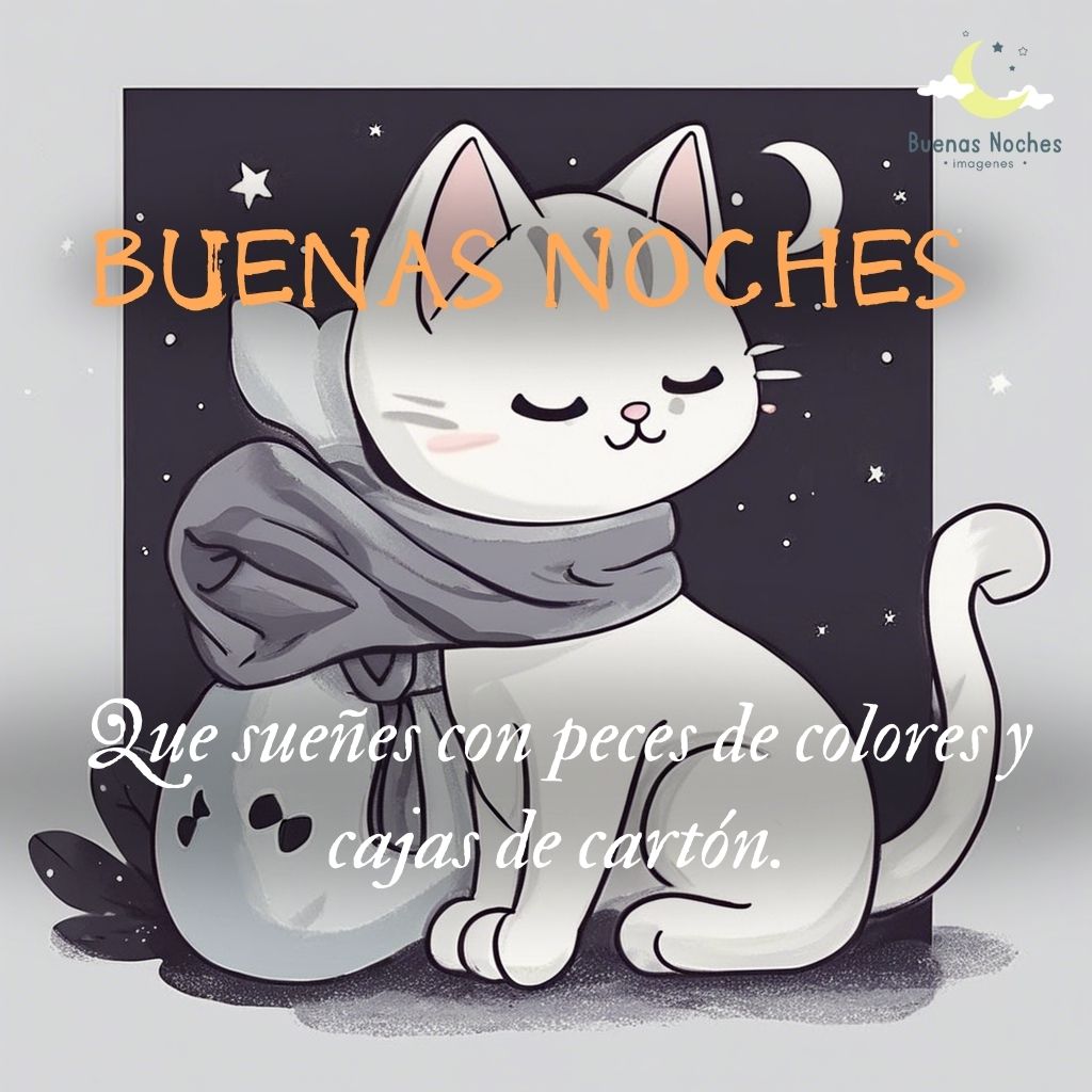 Imagenes de buenas noches con gatos 16