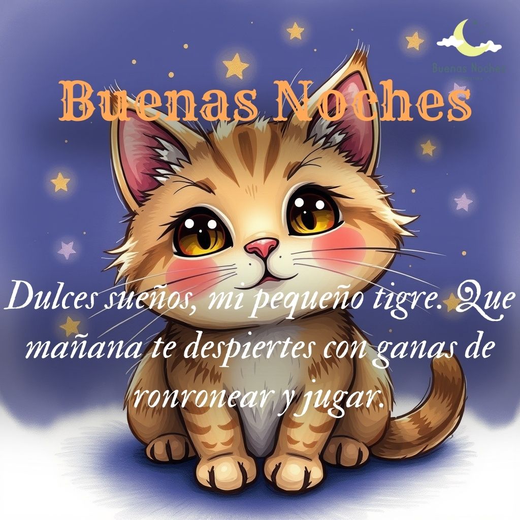 Imagenes de buenas noches con gatos 17