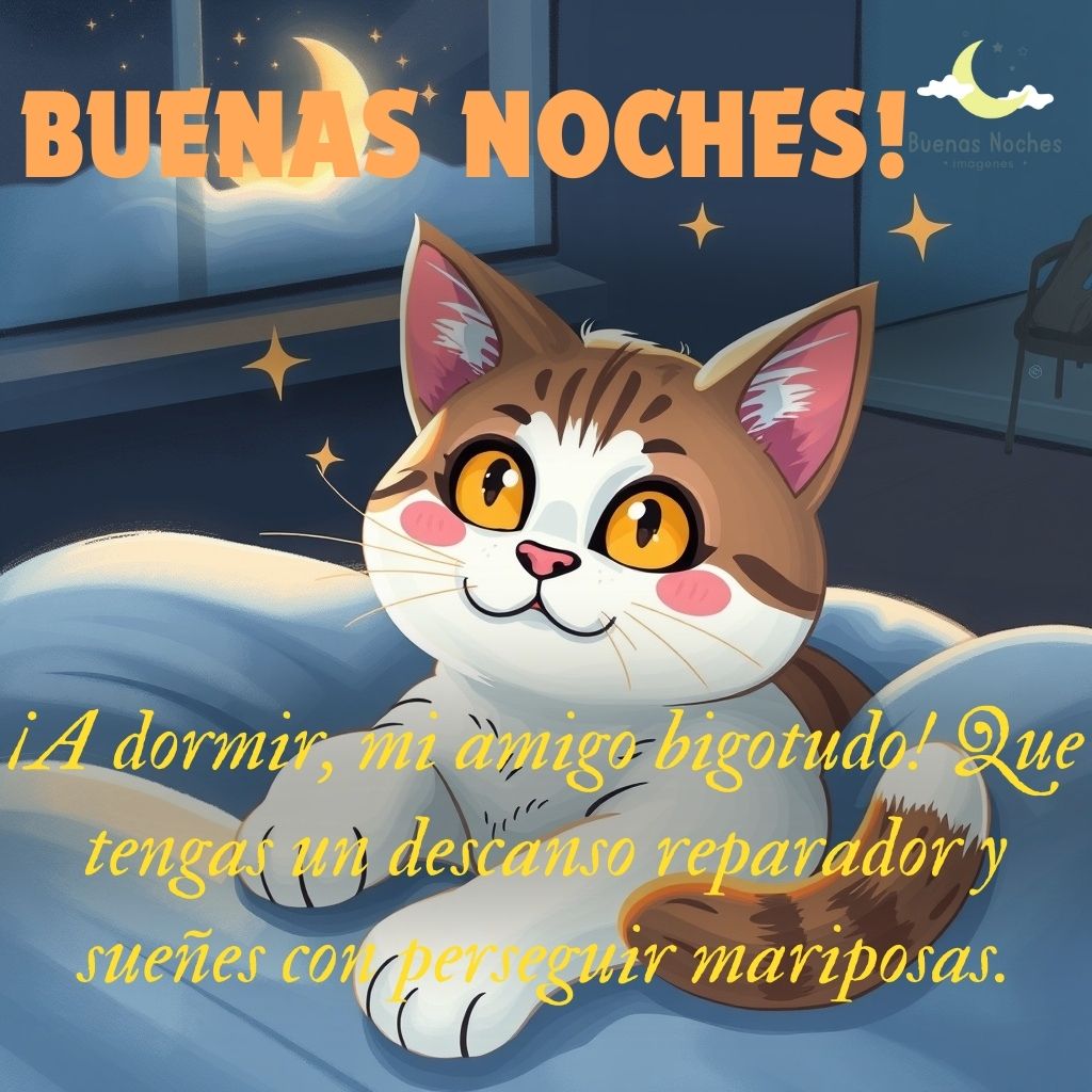 Imagenes de buenas noches con gatos 18