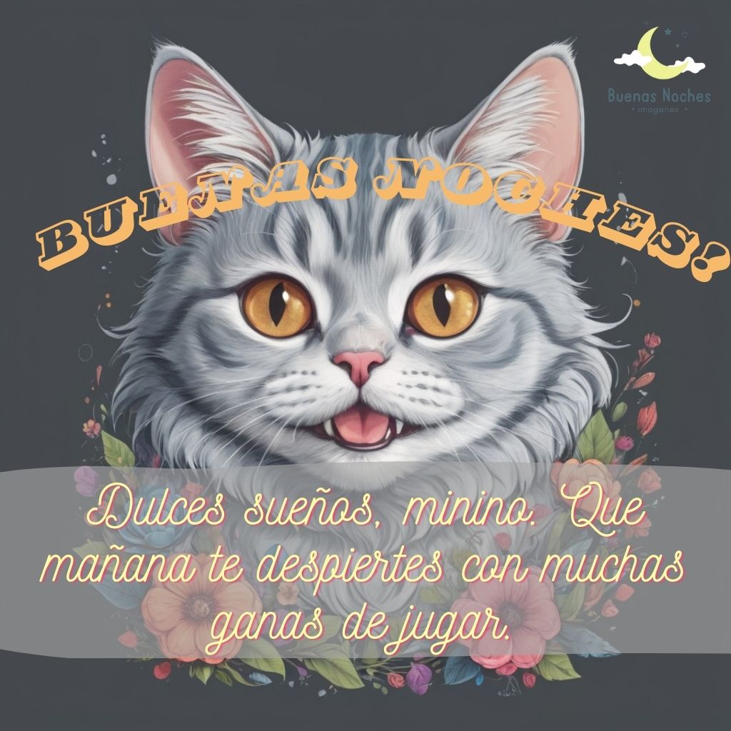 Imagenes de buenas noches con gatos 2