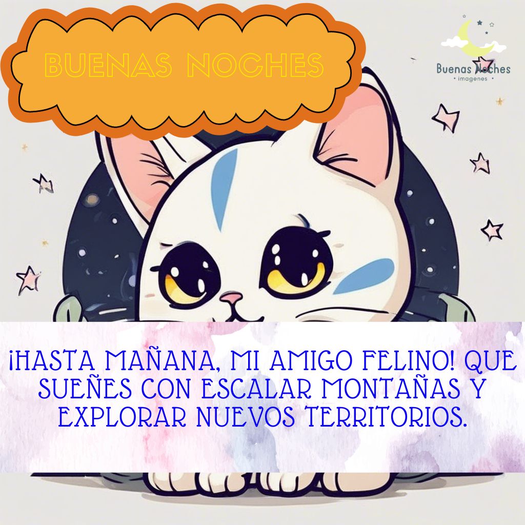 Imagenes de buenas noches con gatos 21