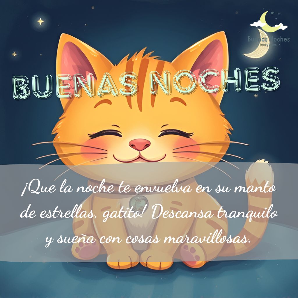 Imagenes de buenas noches con gatos 22