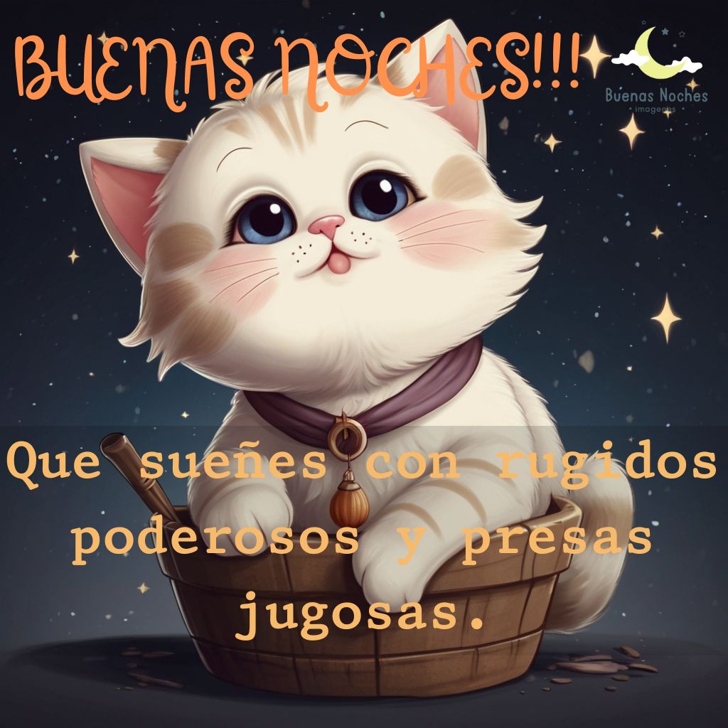 Imagenes de buenas noches con gatos 23