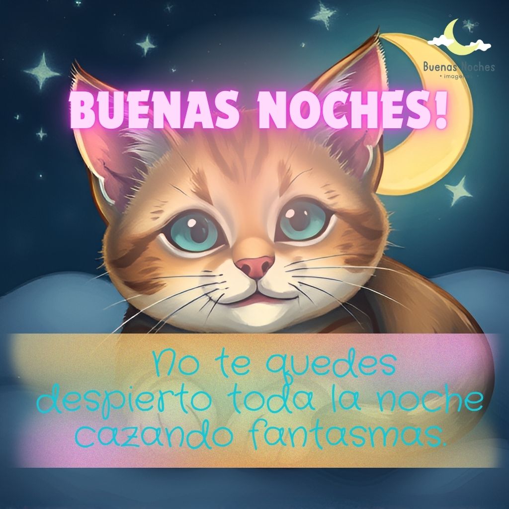 Imagenes de buenas noches con gatos 26