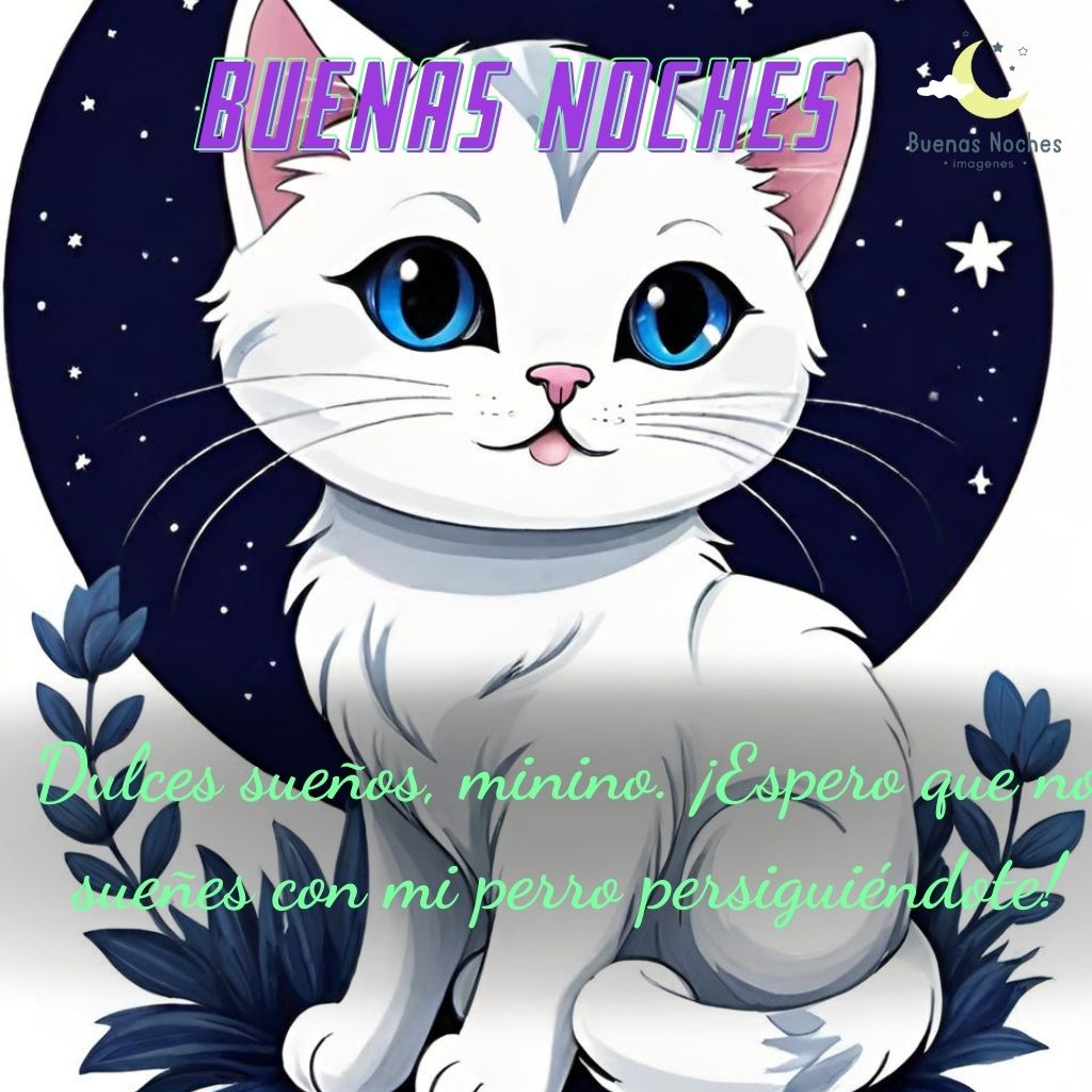 Imagenes de buenas noches con gatos 27