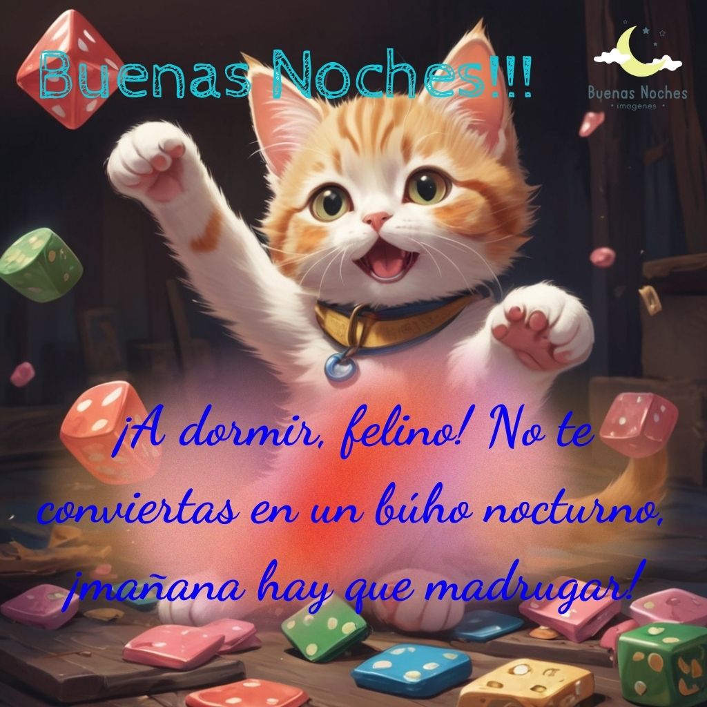 Imagenes de buenas noches con gatos 28