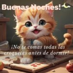 Imagenes de buenas noches con gatos 29