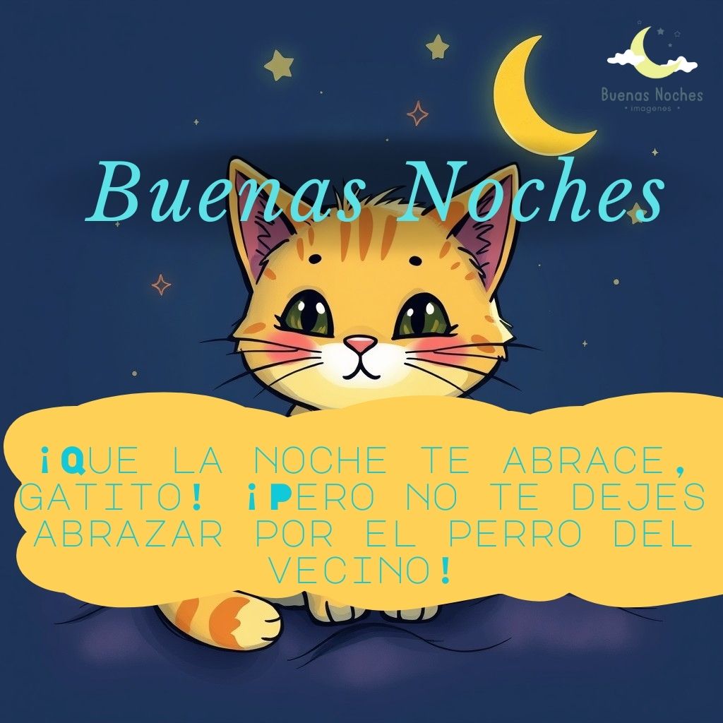 Imagenes de buenas noches con gatos 32