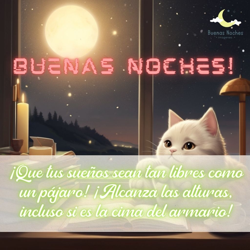 Imagenes de buenas noches con gatos 37