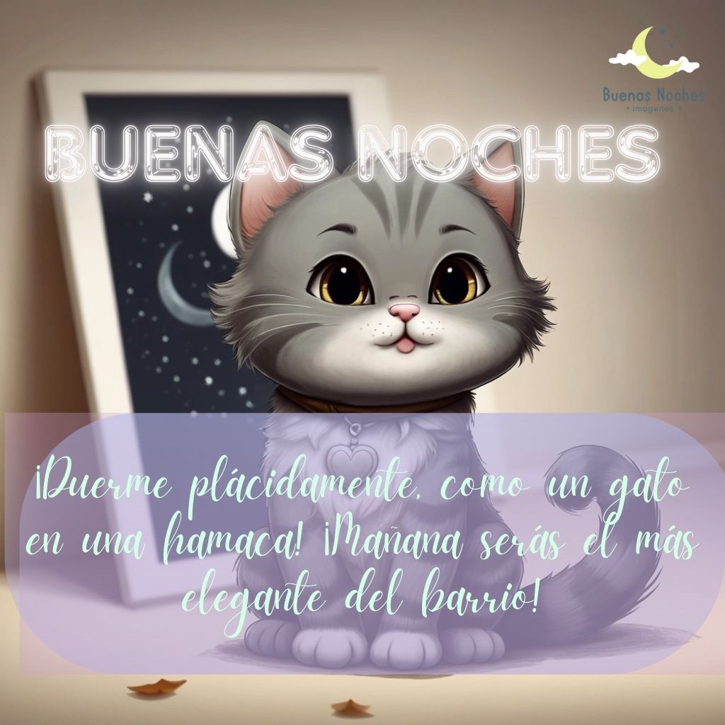 Imagenes de buenas noches con gatos 42