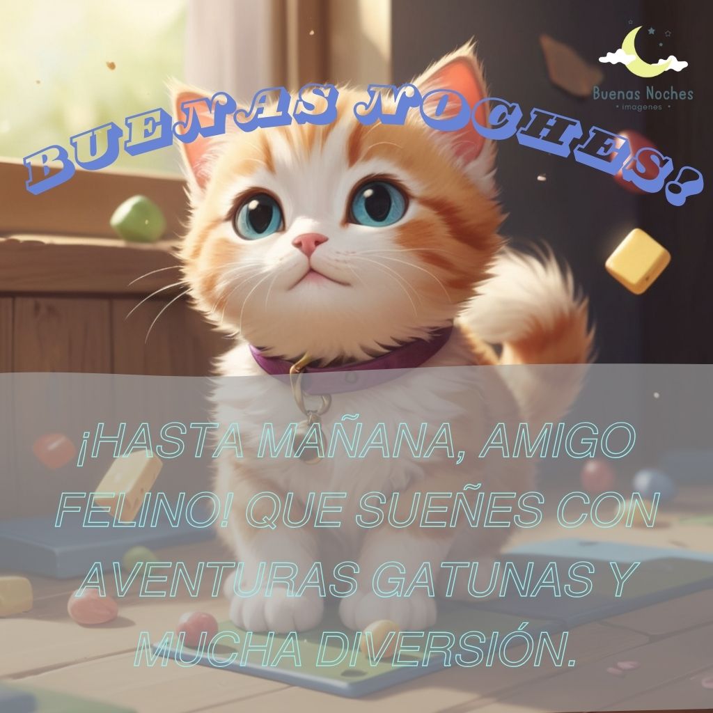 Imagenes de buenas noches con gatos 6