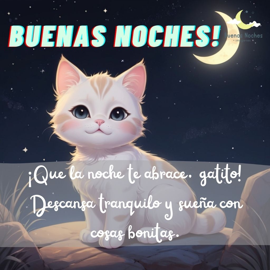 Imagenes de buenas noches con gatos 7