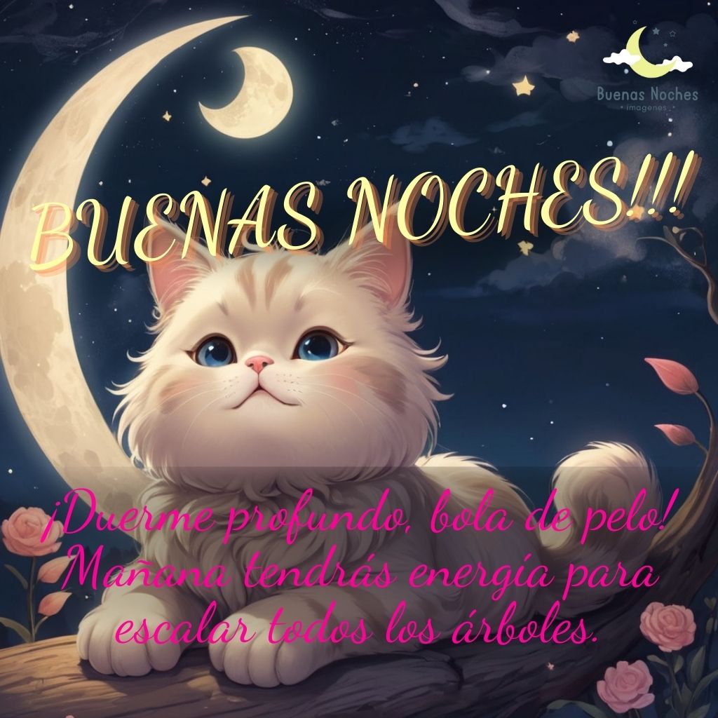 Imagenes de buenas noches con gatos 9