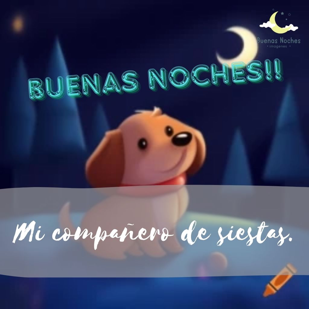 Imagenes de buenas noches con perros 10