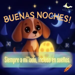 Imagenes de buenas noches con perros 11