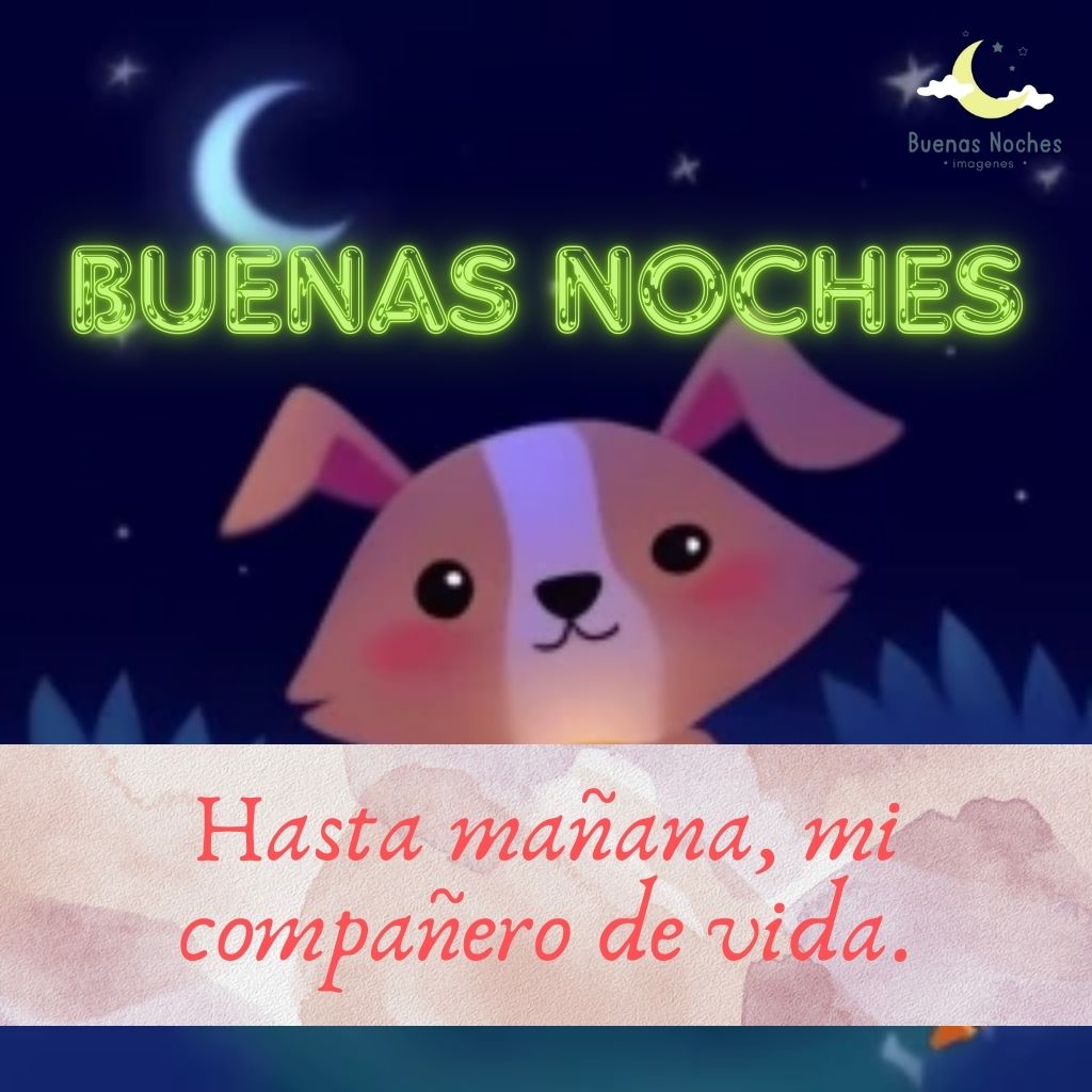 Imagenes de buenas noches con perros 19