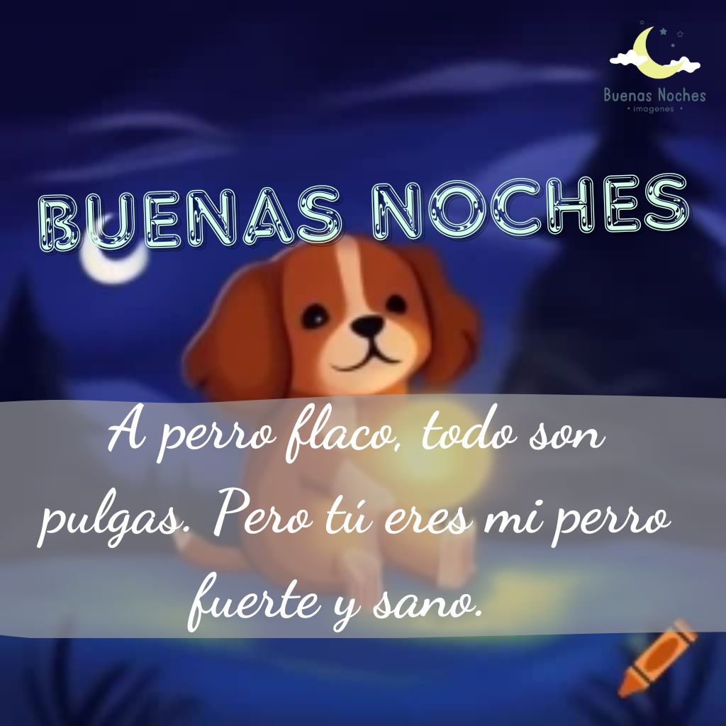 Imagenes de buenas noches con perros 21