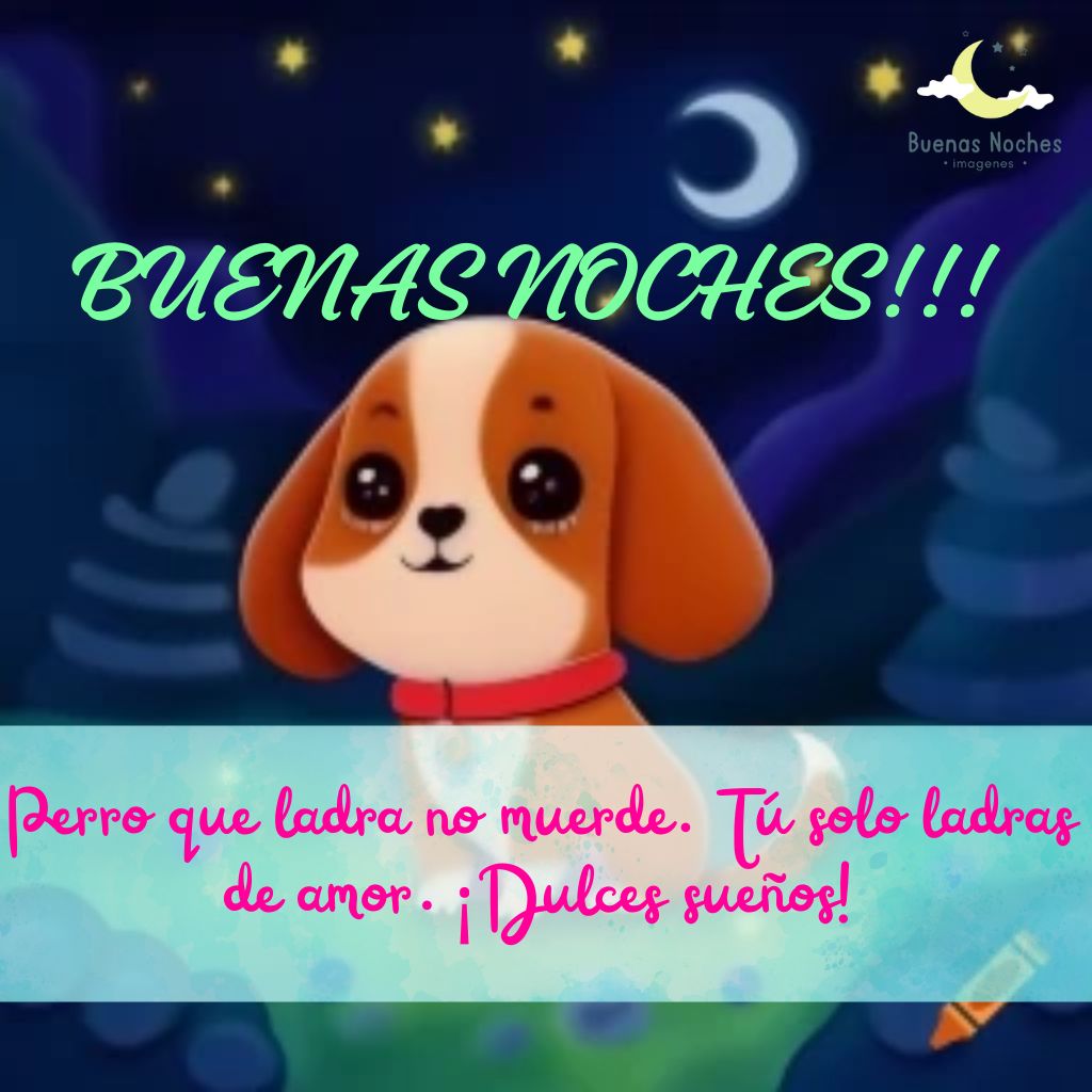 Imagenes de buenas noches con perros 22