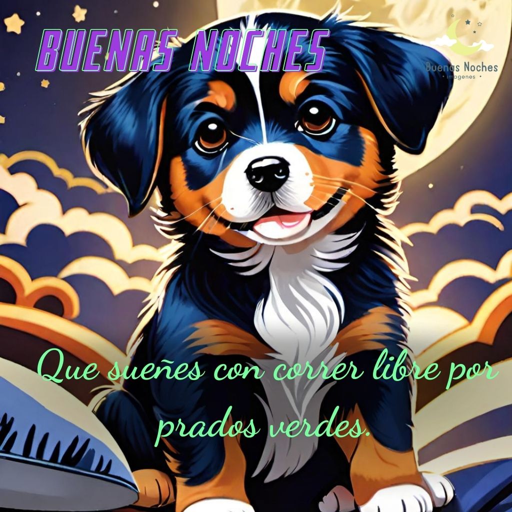 Imagenes de buenas noches con perros 27